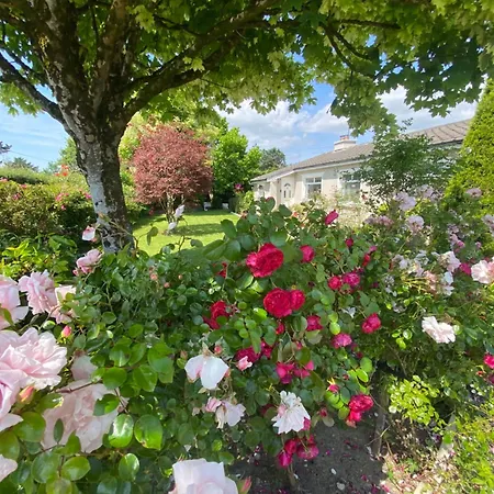 Tranquil Haven Country house Milltown (Kerry)