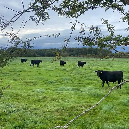 Landhuis Tranquil Haven Milltown (Kerry)