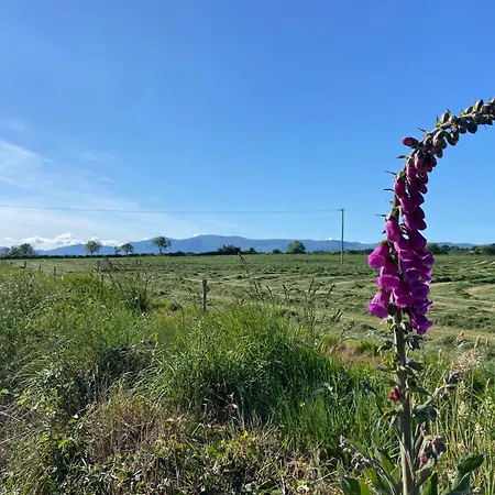 Tranquil Haven Landhuis Milltown (Kerry)