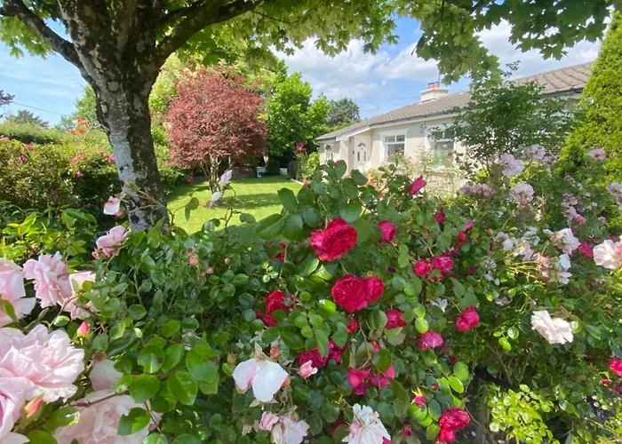Tranquil Haven Εξοχικό σπίτι Milltown (Kerry)